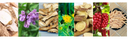 The Science Behind Eyes & Sinus Relief: How Seven Ancient Herbs Combat Modern Allergies
